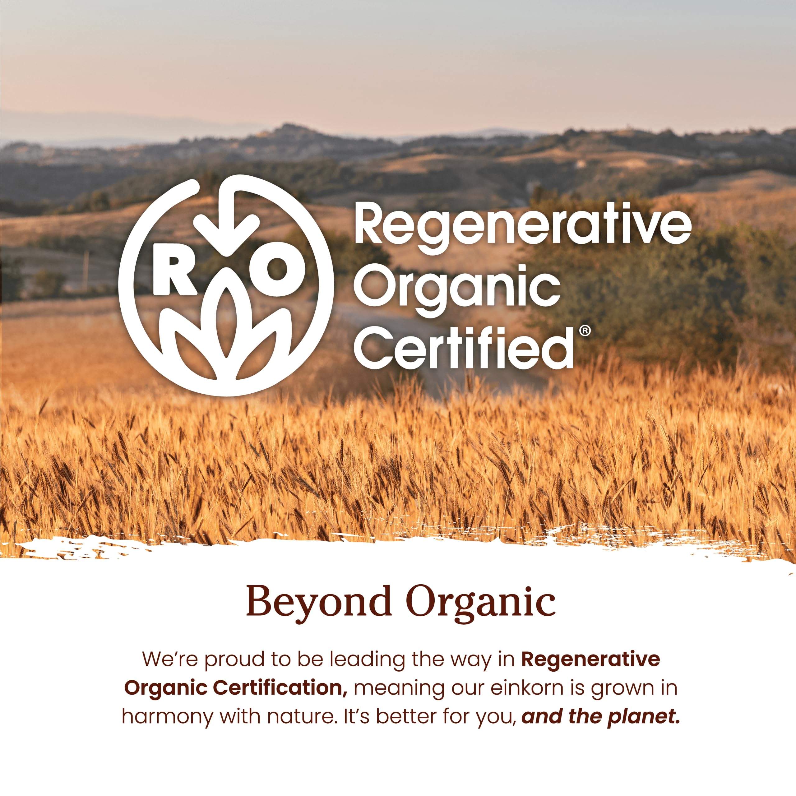 Jovial Italian farm field emphasizing sustainable farming and origin