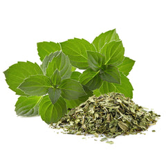 Jovvily brewed peppermint tea in a clear mug, vibrant aroma and refreshment