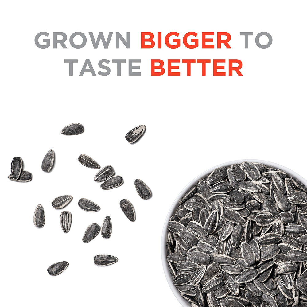 JUMBO Sunflower Seeds open bag with resealable zipper for freshness