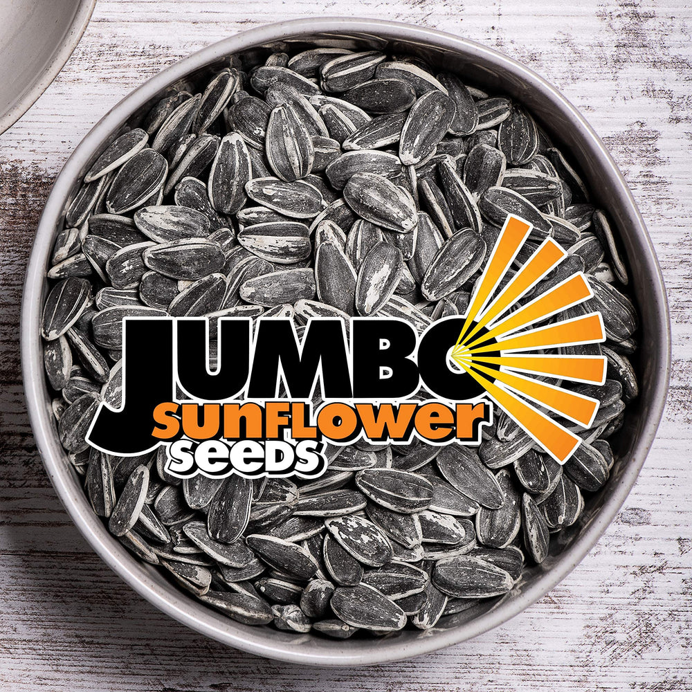 JUMBO Sunflower Seeds served in a bowl for easy sharing at events