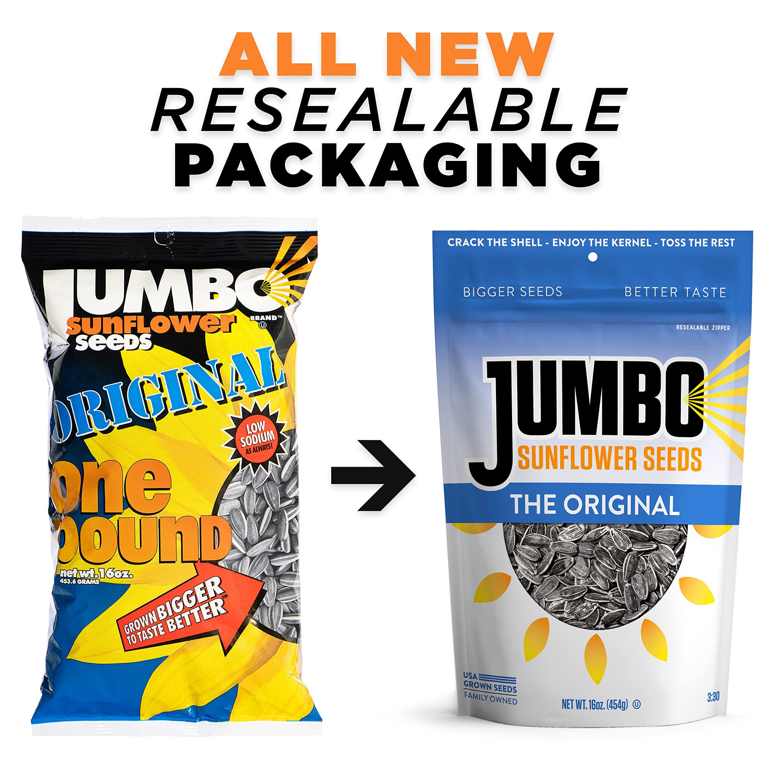 JUMBO Sunflower Seeds held in hand to show jumbo size and texture
