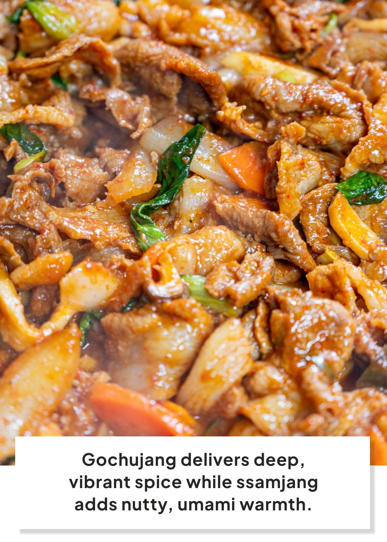 K FOOD KOREAN FOOD spoon of gochujang displaying smooth, spicy-sweet texture