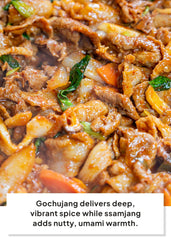 K FOOD KOREAN FOOD spoon of gochujang displaying smooth, spicy-sweet texture