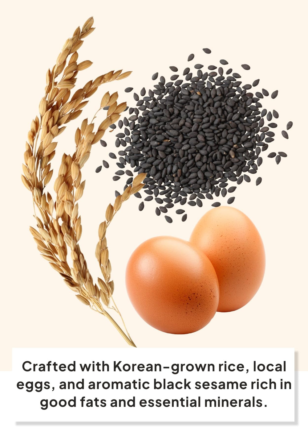 K FOOD KOREAN FOOD wafer texture detail highlighting thin oven-baked crisp