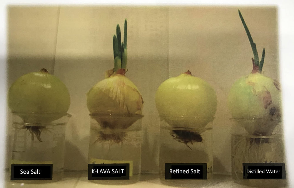 K-LAVA SALT bamboo process photo hinting at traditional firing method and mineral concentration benefit