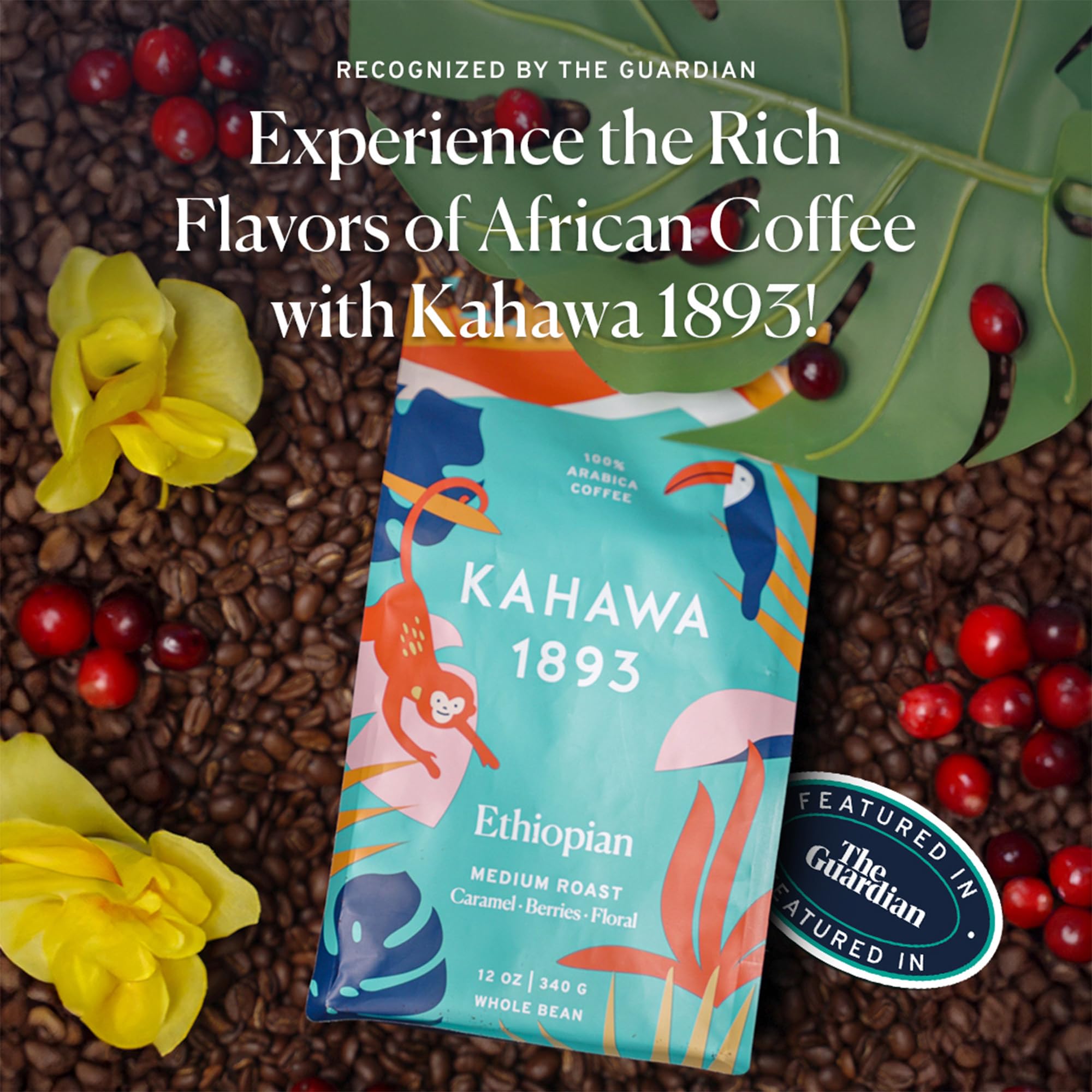 KAHAWA 1893 four bags lined up demonstrating variety and gifting appeal