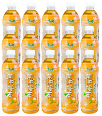 Kangshifu front packaging showing bottle label and 500ml convenience