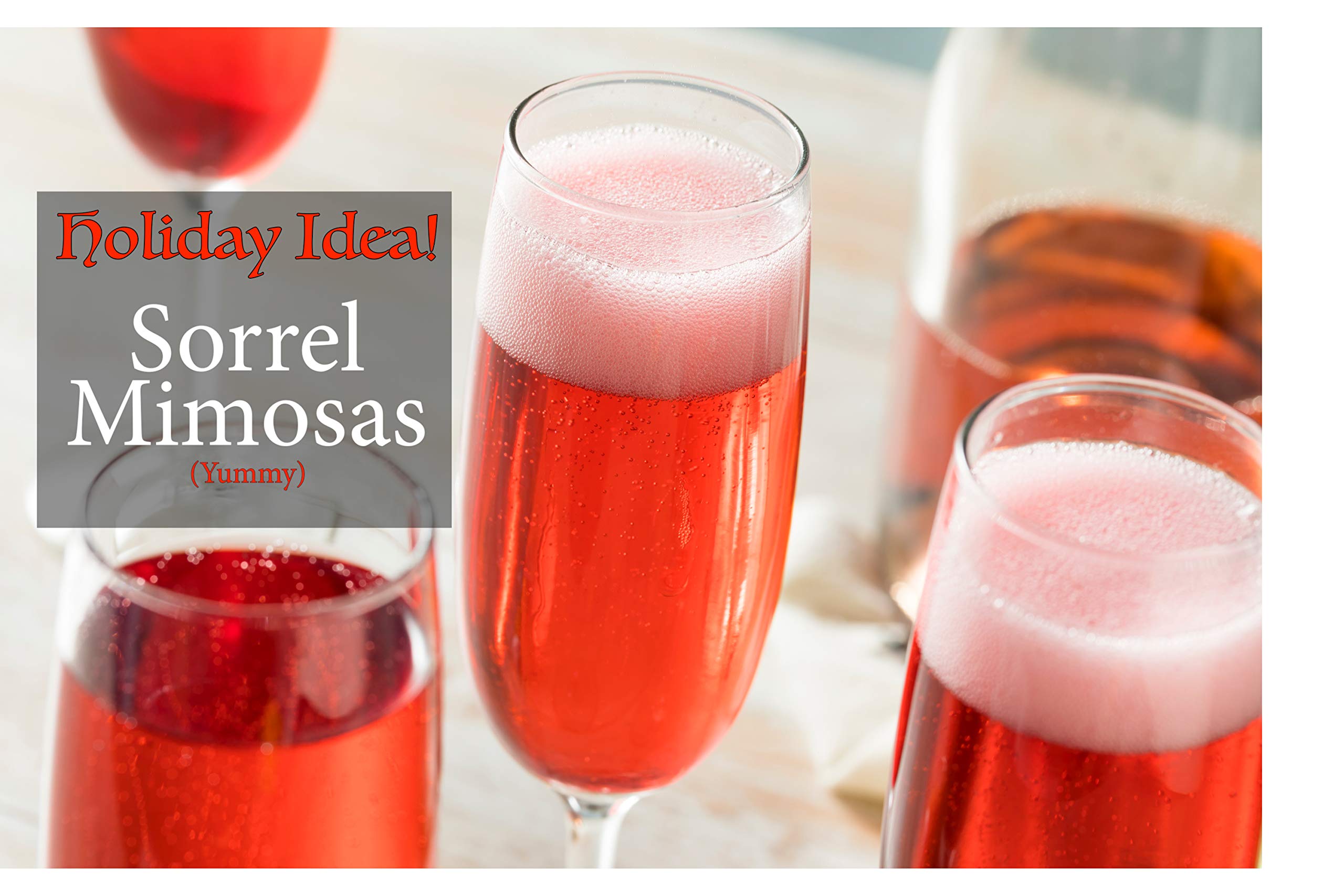 KARIBBEAN FLAVOURS chilled hibiscus drink in a glass with ice, refreshing result