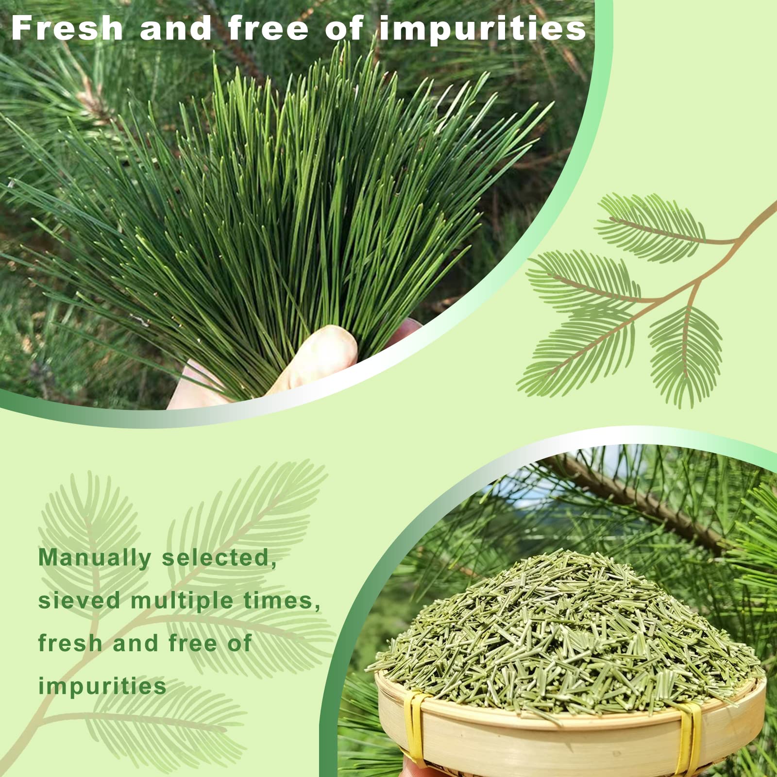 KASVAN iced pine needle drink in glass, refreshing summer option and bright flavor