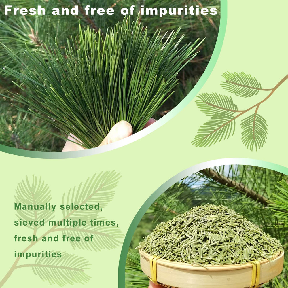 KASVAN iced pine needle drink in glass, refreshing summer option and bright flavor