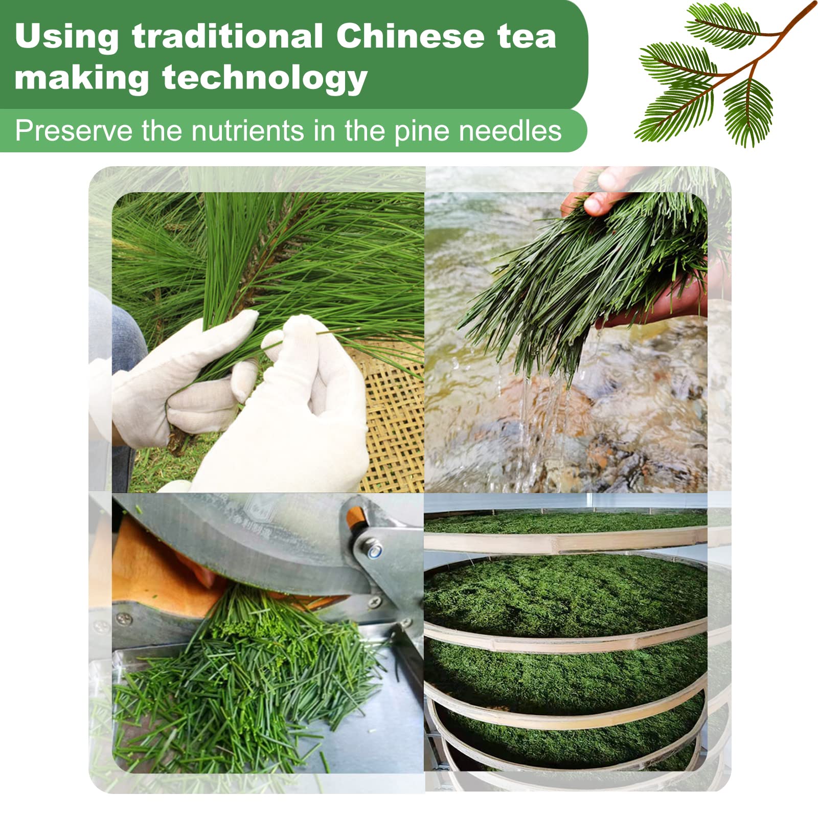 KASVAN label with Qinling Mountains origin, highlighting traceable source and quality