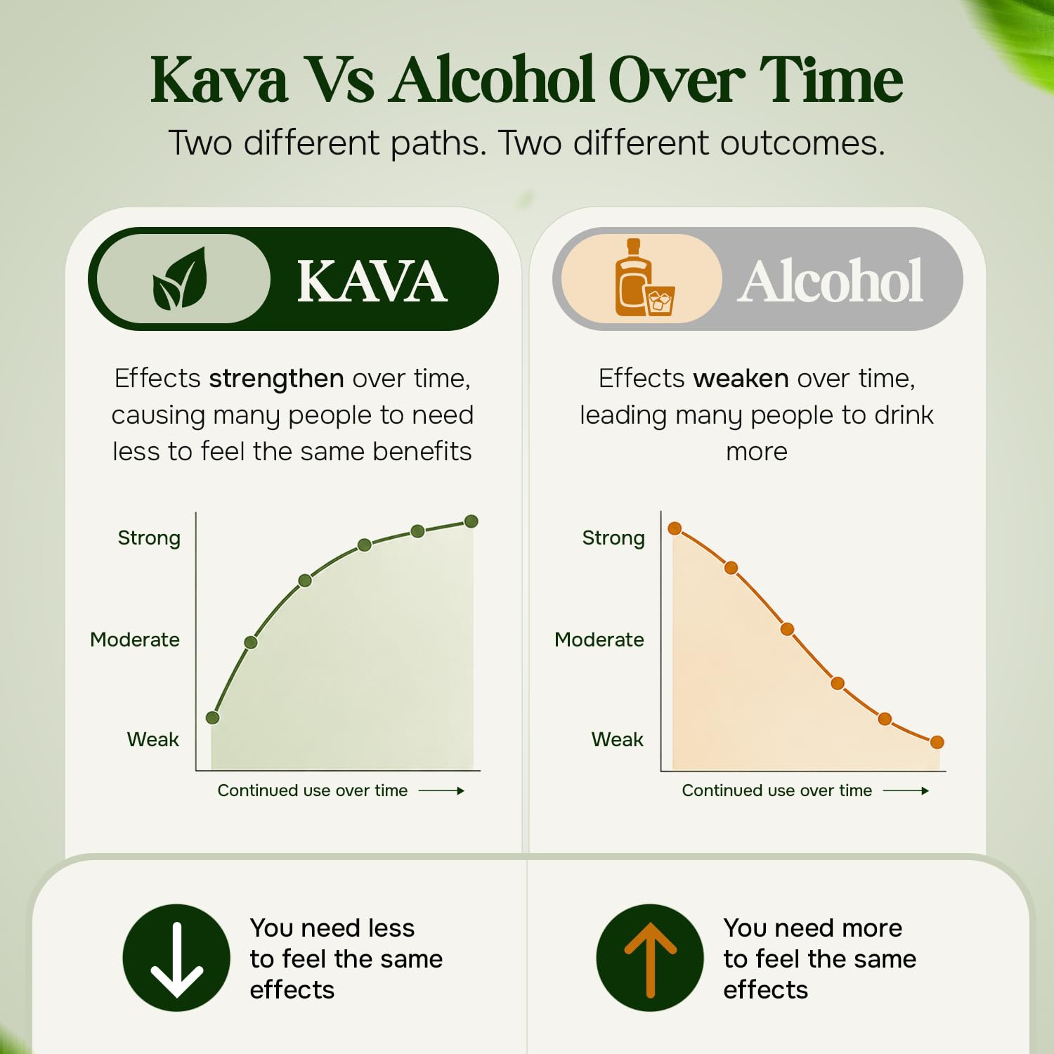 Kava Haven label closeup highlighting flavor notes and ingredient clarity for trust