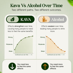 Kava Haven label closeup highlighting flavor notes and ingredient clarity for trust