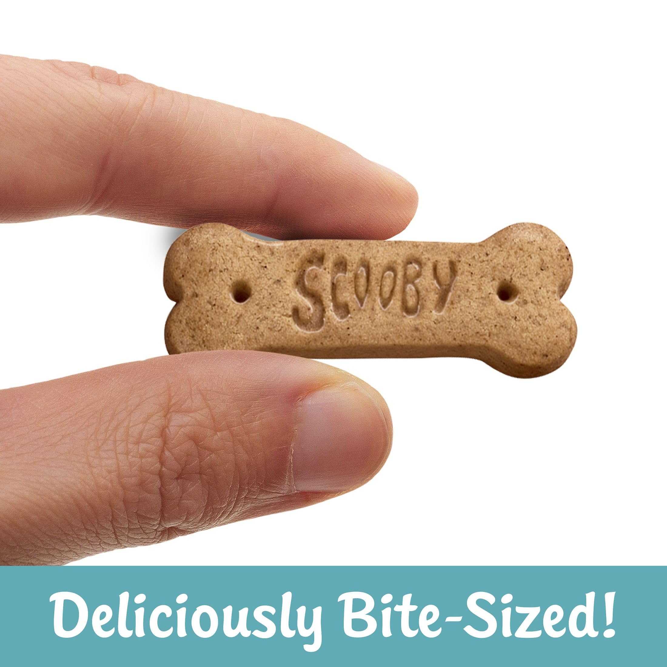 Kellogg's close-up of crunchy cinnamon graham texture showing crisp bite