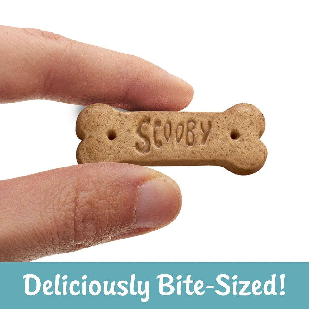 Kellogg's close-up of crunchy cinnamon graham texture showing crisp bite
