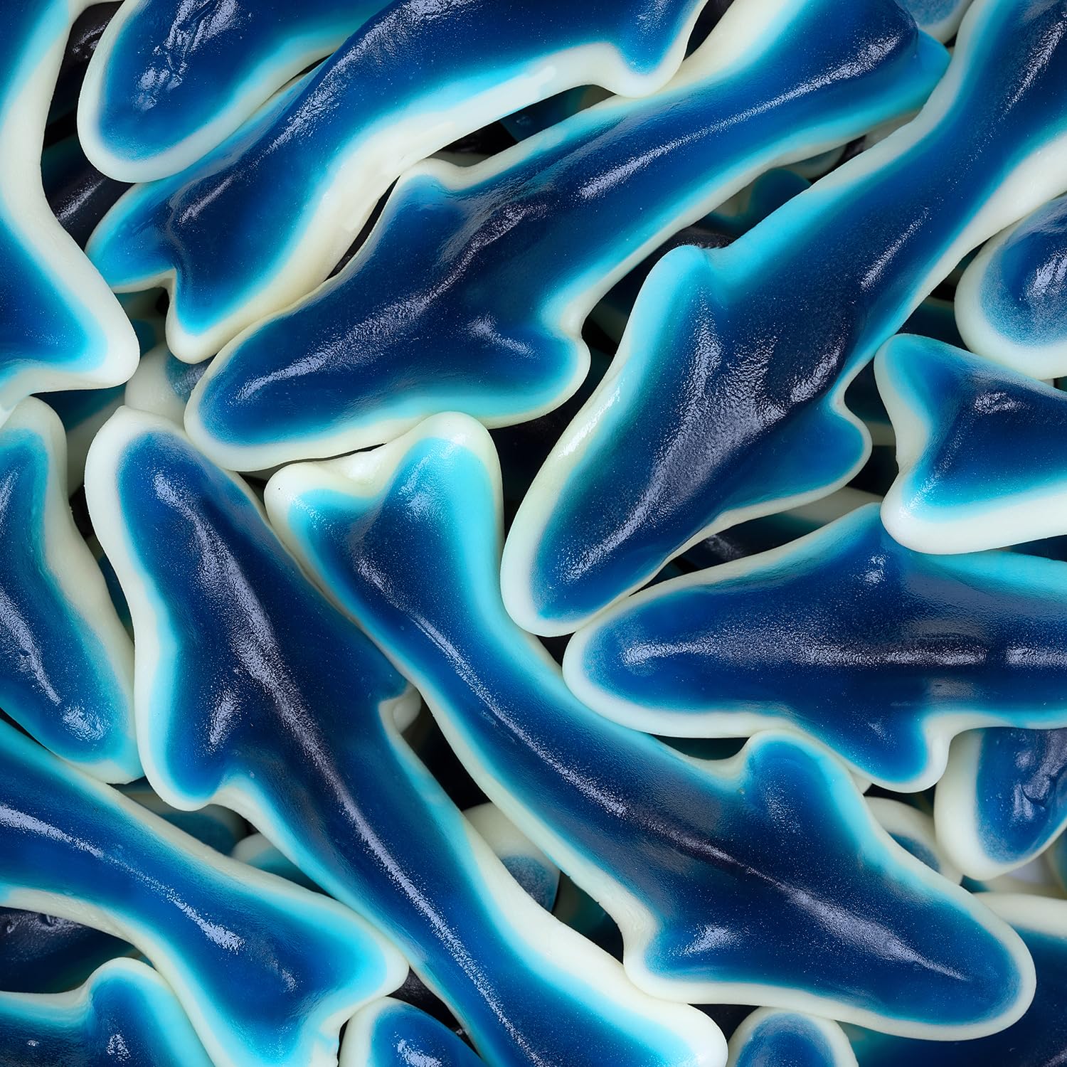 Kervan scoop of blue shark gummies in a bowl ready for parties and serving convenience