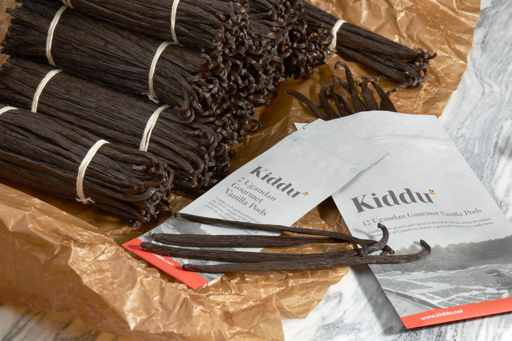 Kiddu beans steeping in a bottle of alcohol visualizing extract infusion benefit