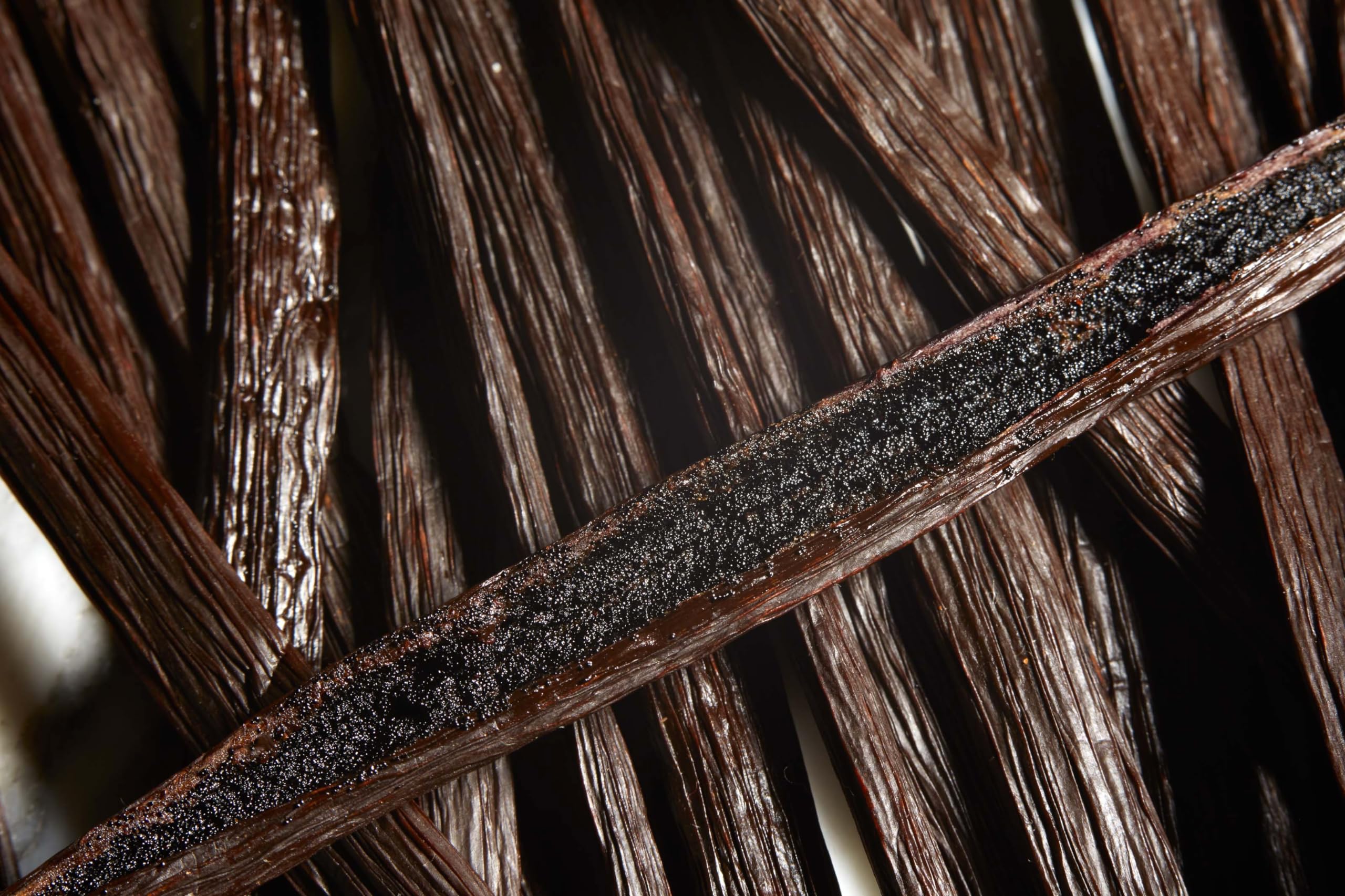 Kiddu vanilla beans soaking in jar of alcohol demonstrating extract infusion benefit