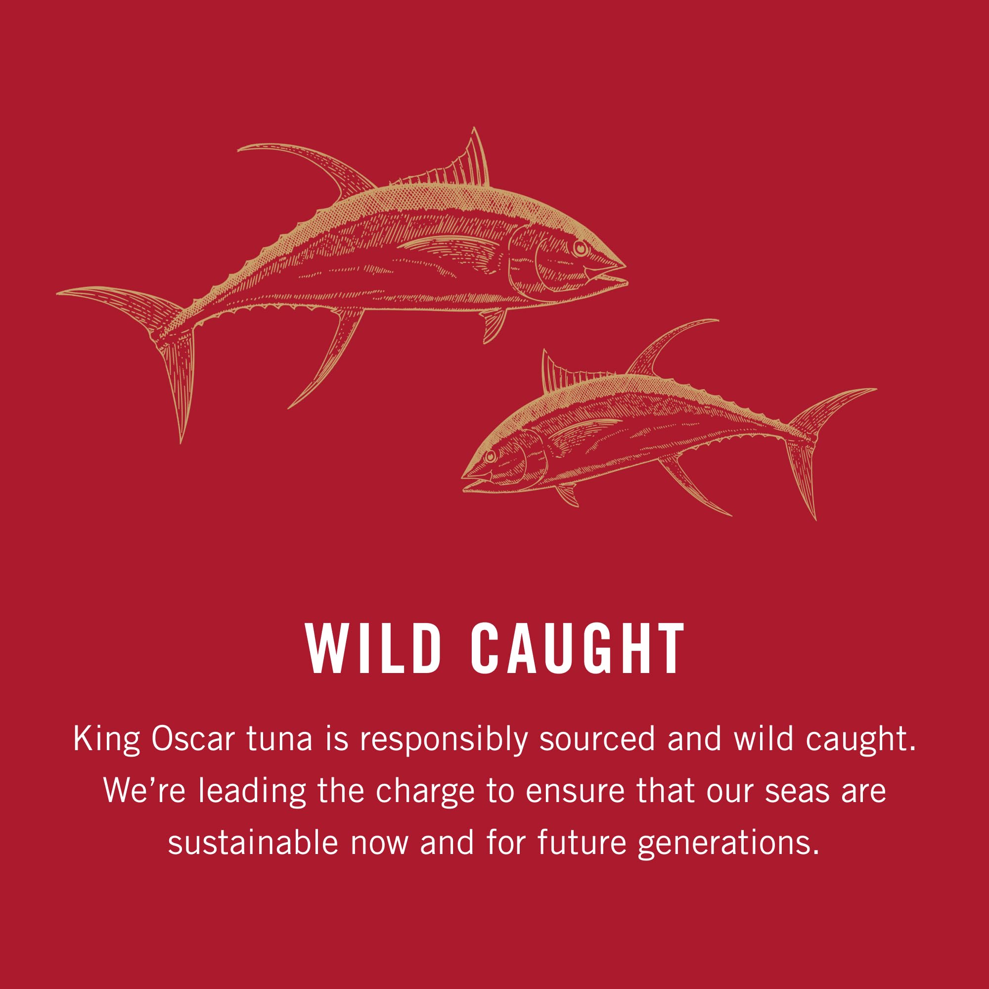King Oscar tin held in hand displaying compact size and portability