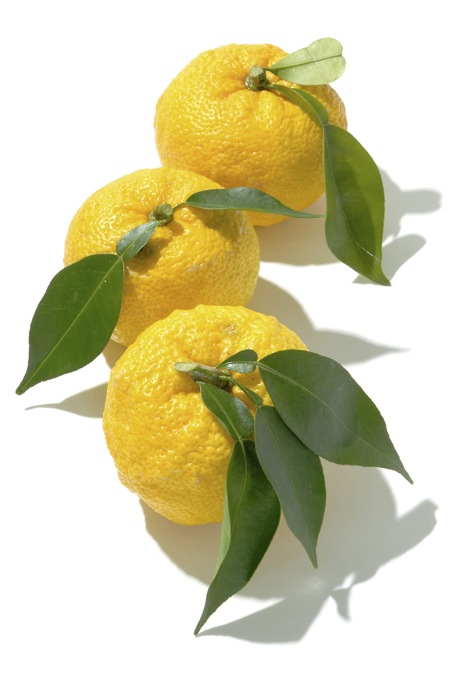 KINJIRUSHI close-up of fluffy yuzu salt texture, conveys easy sprinkling benefit
