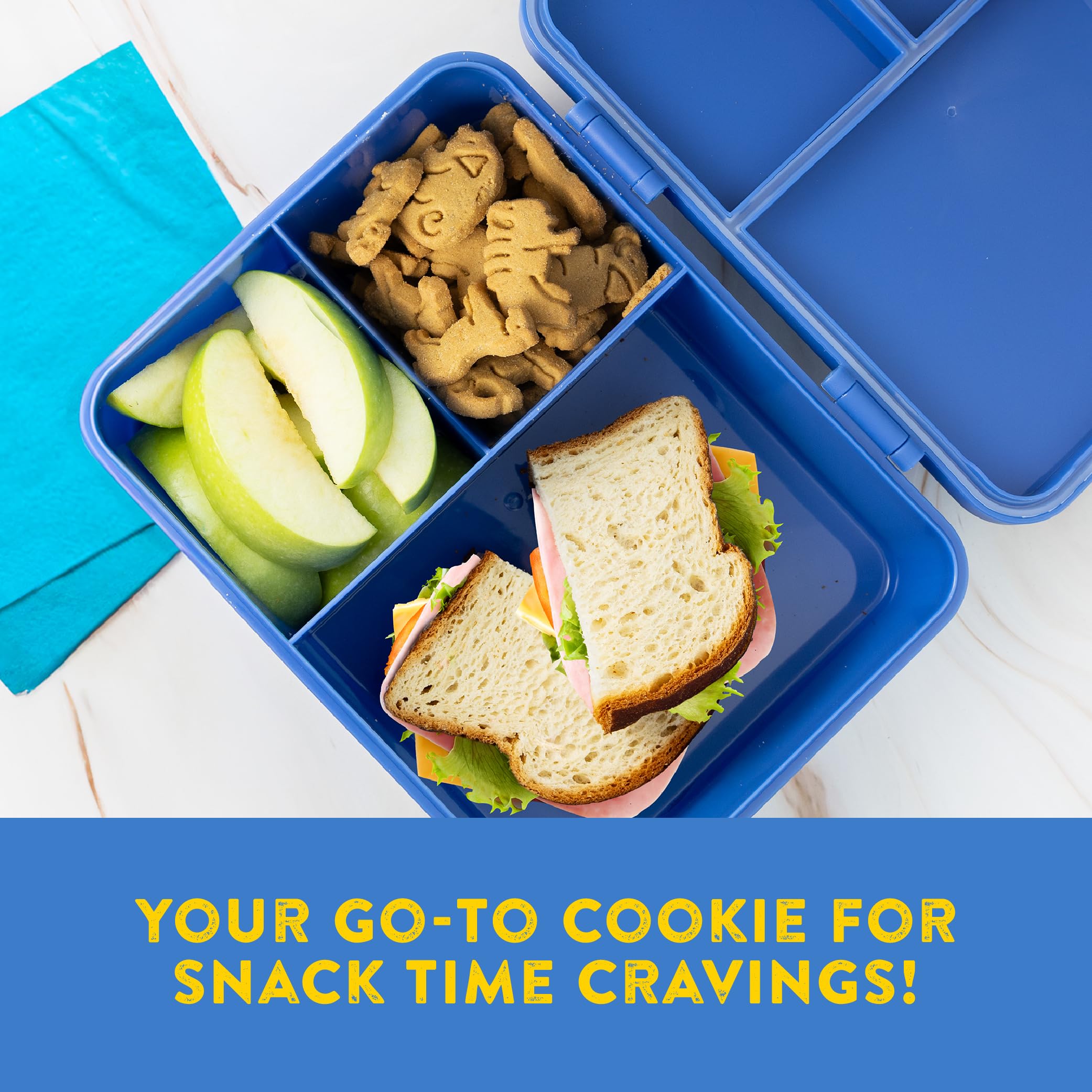 Kinnikinnick cookies in a lunchbox showing inclusive snack benefit