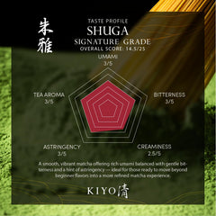 Kiyo Matcha powder close-up displaying bright green fine texture and vibrant color