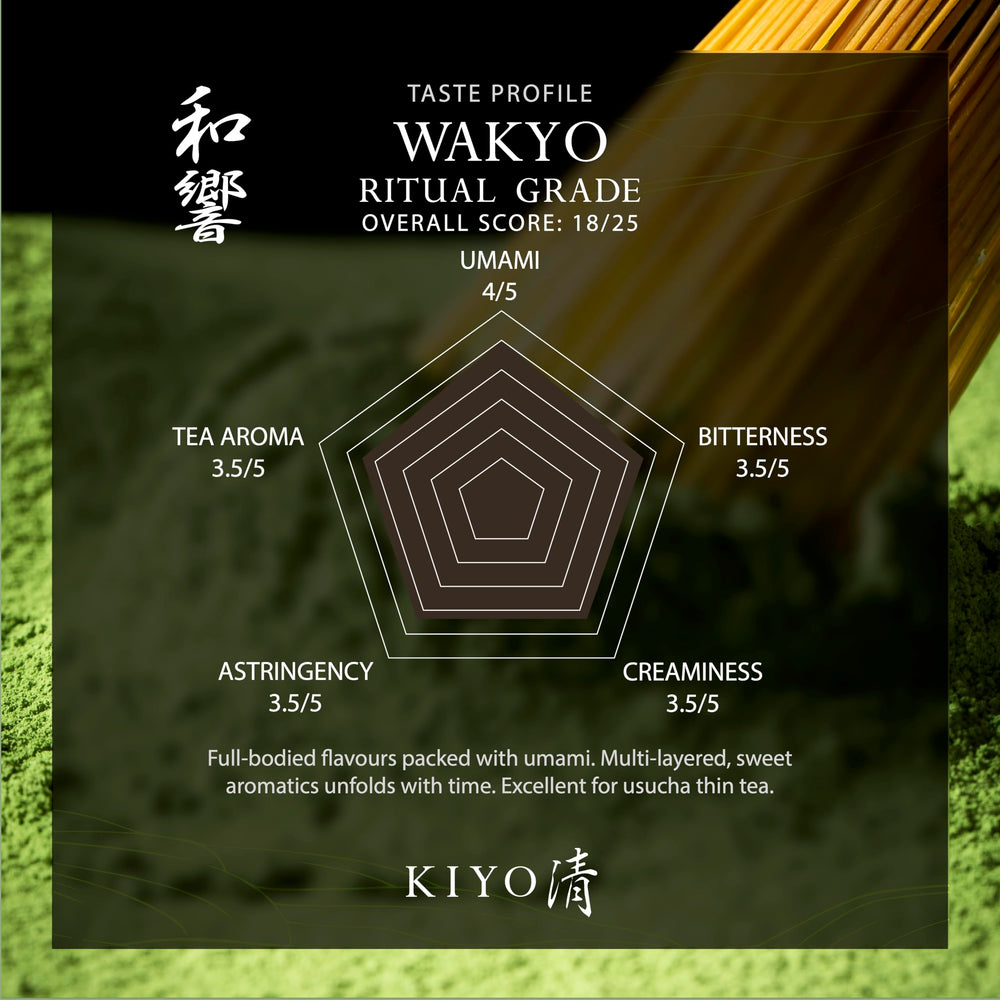 Kiyo Matcha powder closeup showing fine texture and vivid green color for smooth whisking