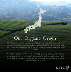 Kiyo Matcha powder on spoon showing fine grind for easy whisking and crema benefit
