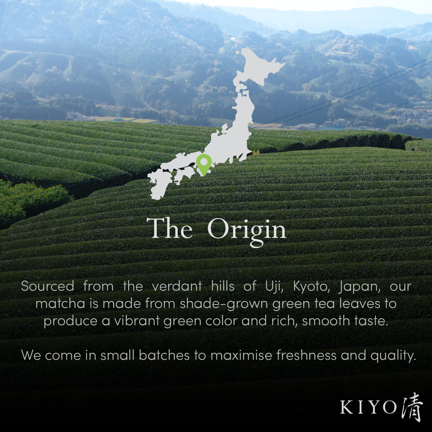 Kiyo Matcha Uji tea fields terrace view showing terroir and authentic provenance benefit