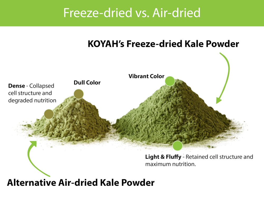 KOYAH powder on spoon showing texture and easy portioning benefit