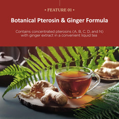 KPRODUCT4U bracken fern ingredient visual highlighting botanical source and natural origin