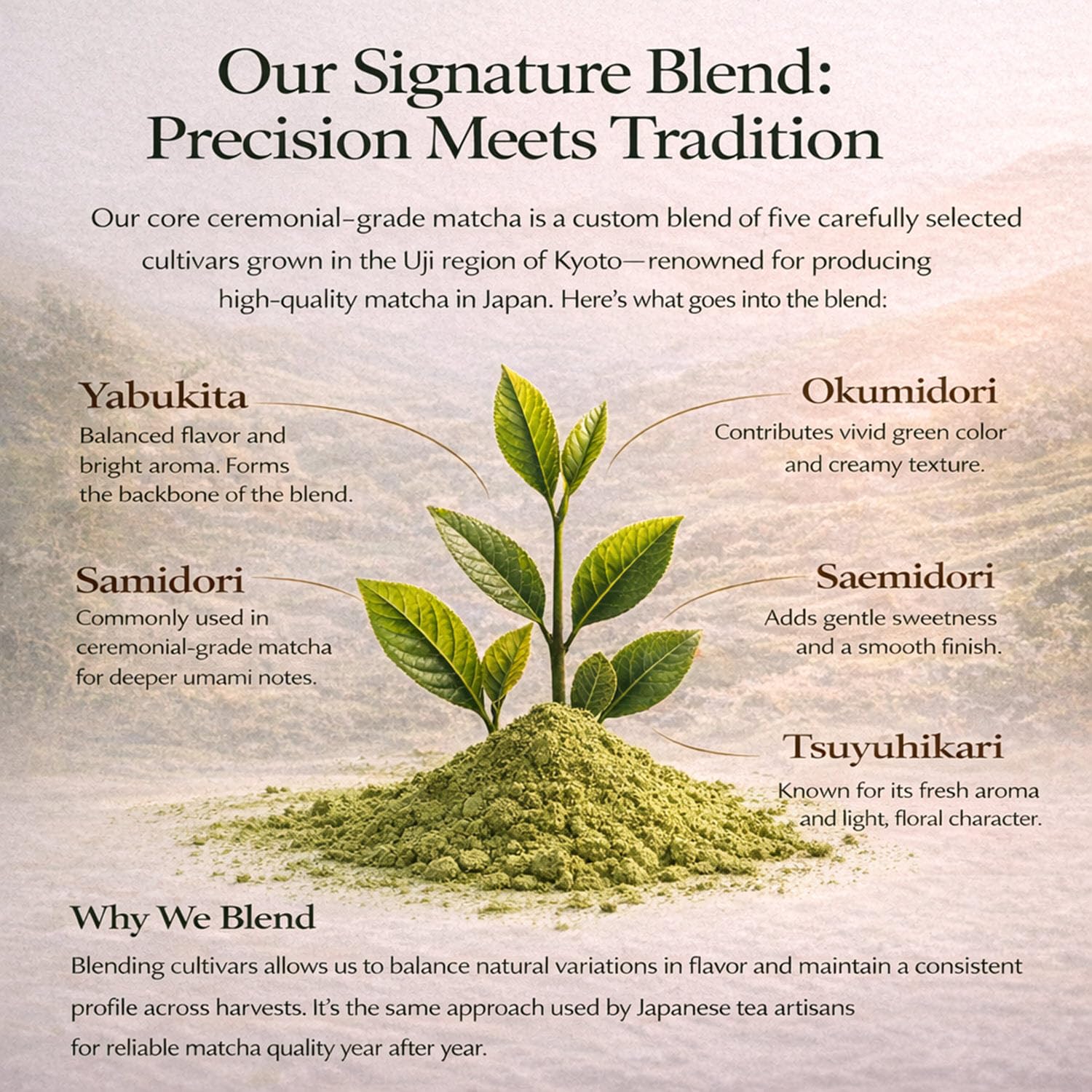 Kyoto Dew Matcha powder on scale demonstrating serving size precision benefit