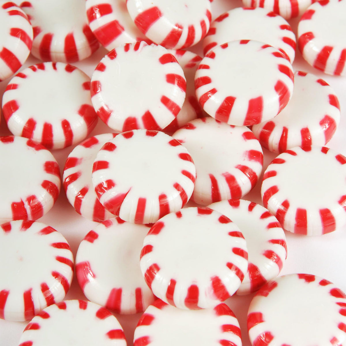 LAETAFOOD front packaging showing 1 lb bag and peppermint starlights freshness