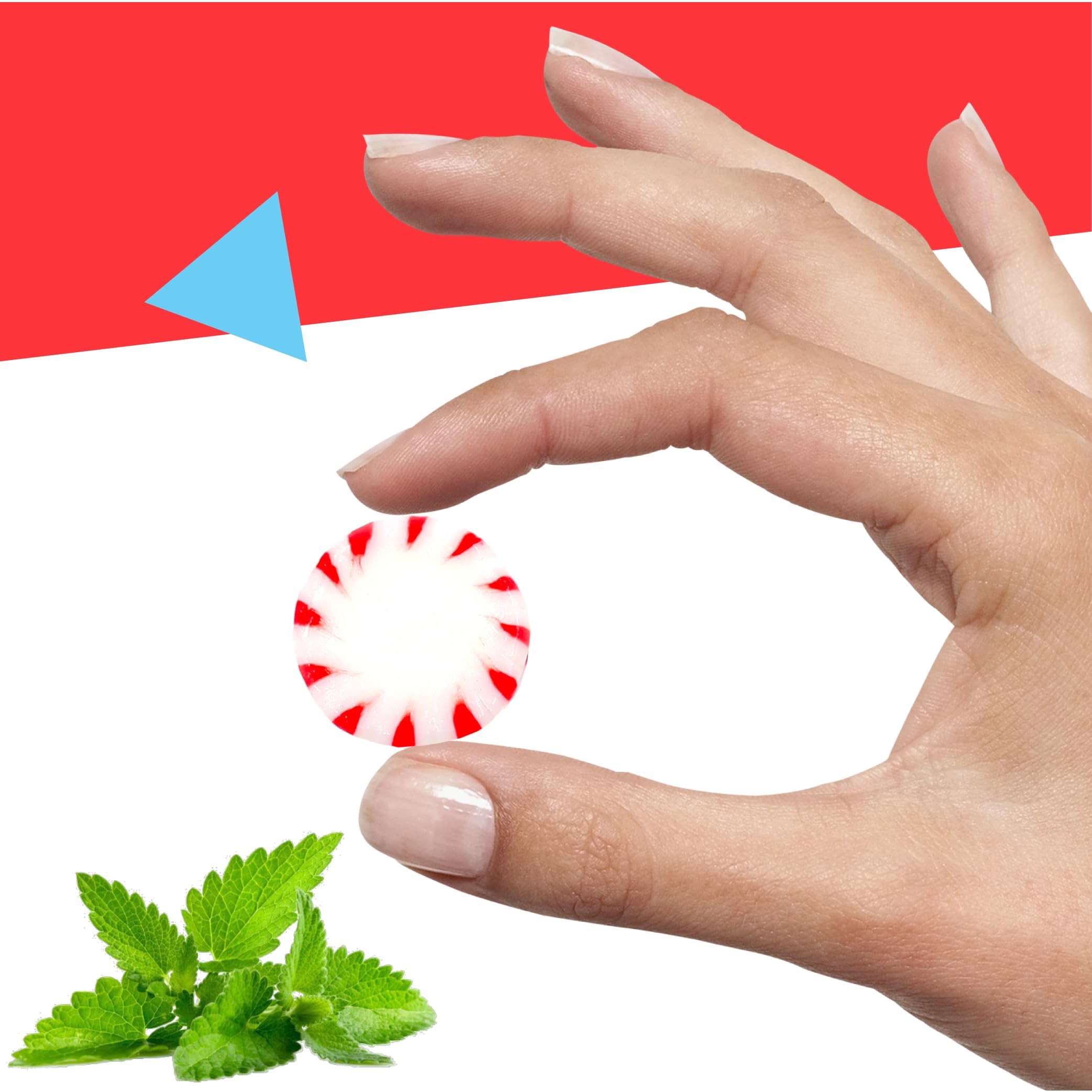 LAETAFOOD mint in hand demonstrating size and portable portion convenience