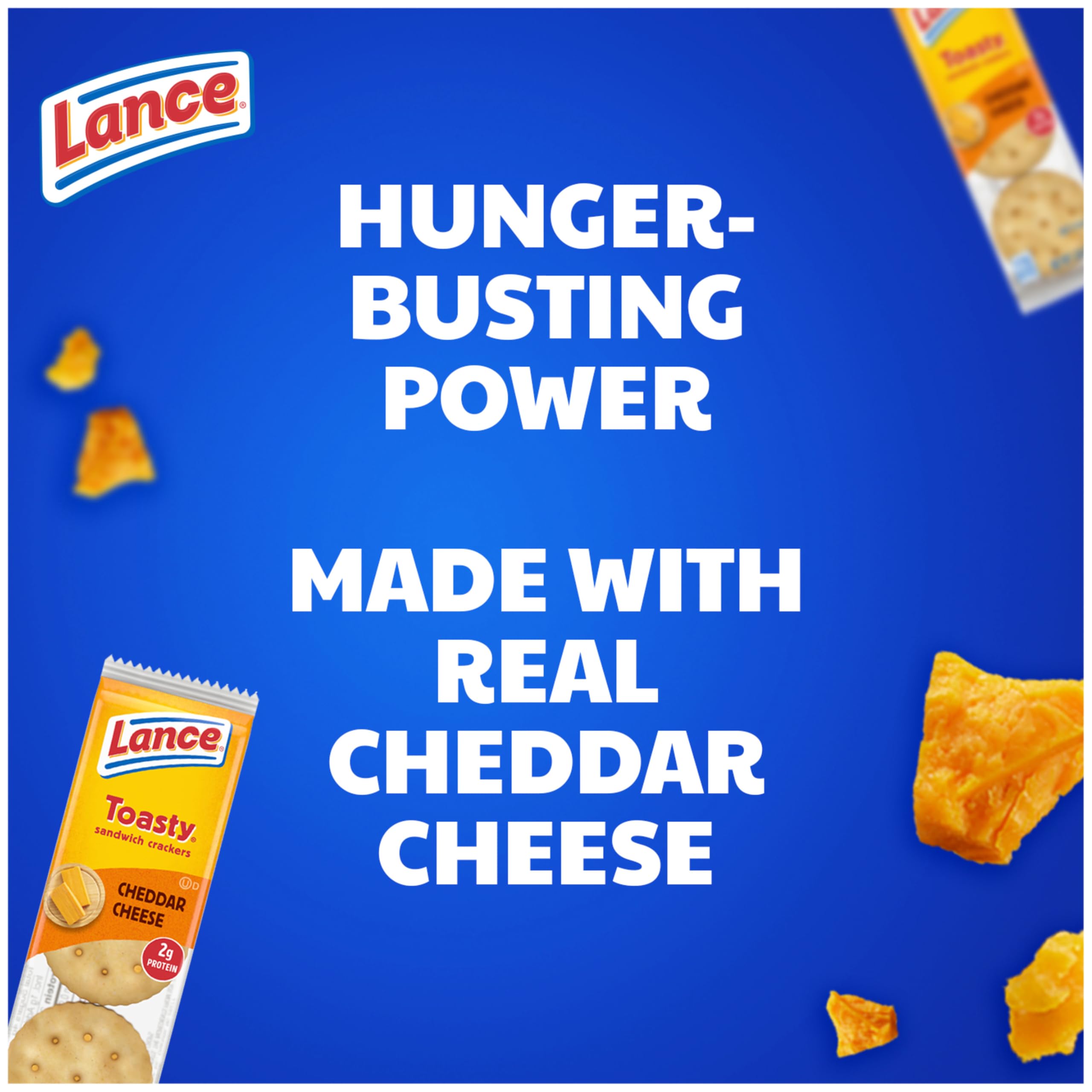 Lance individual sealed pack displayed for convenient portioning