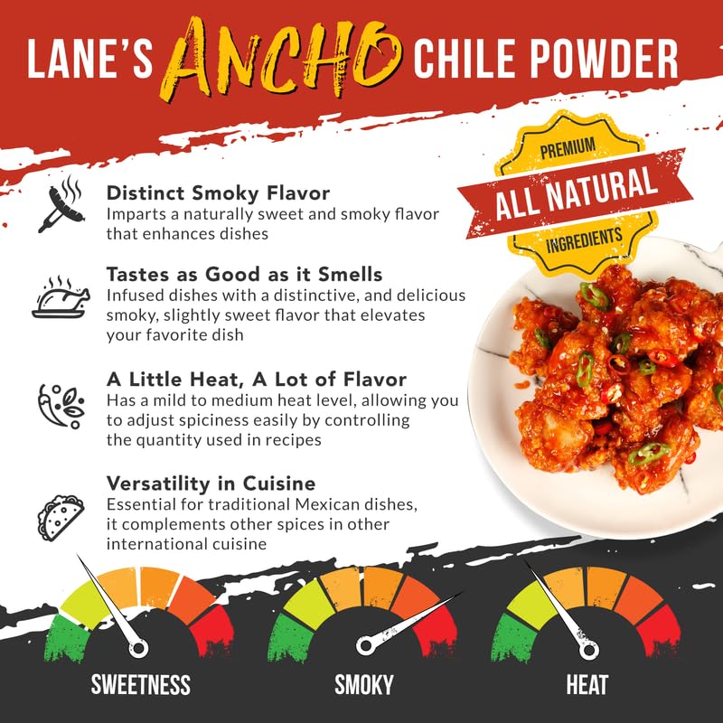 Lane's spooned ancho powder close-up showing rich color and easy measuring benefit
