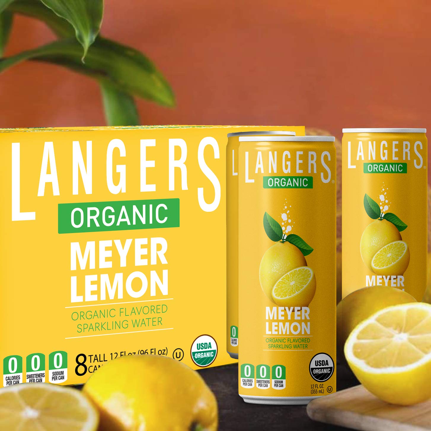 Hand holding a Langers Meyer Lemon 12 fl oz can showing portable single-serve size