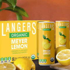 Hand holding a Langers Meyer Lemon 12 fl oz can showing portable single-serve size