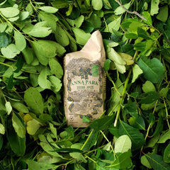 LATAM CONCEPT brewed mate in gourd ready to drink showing gentle color