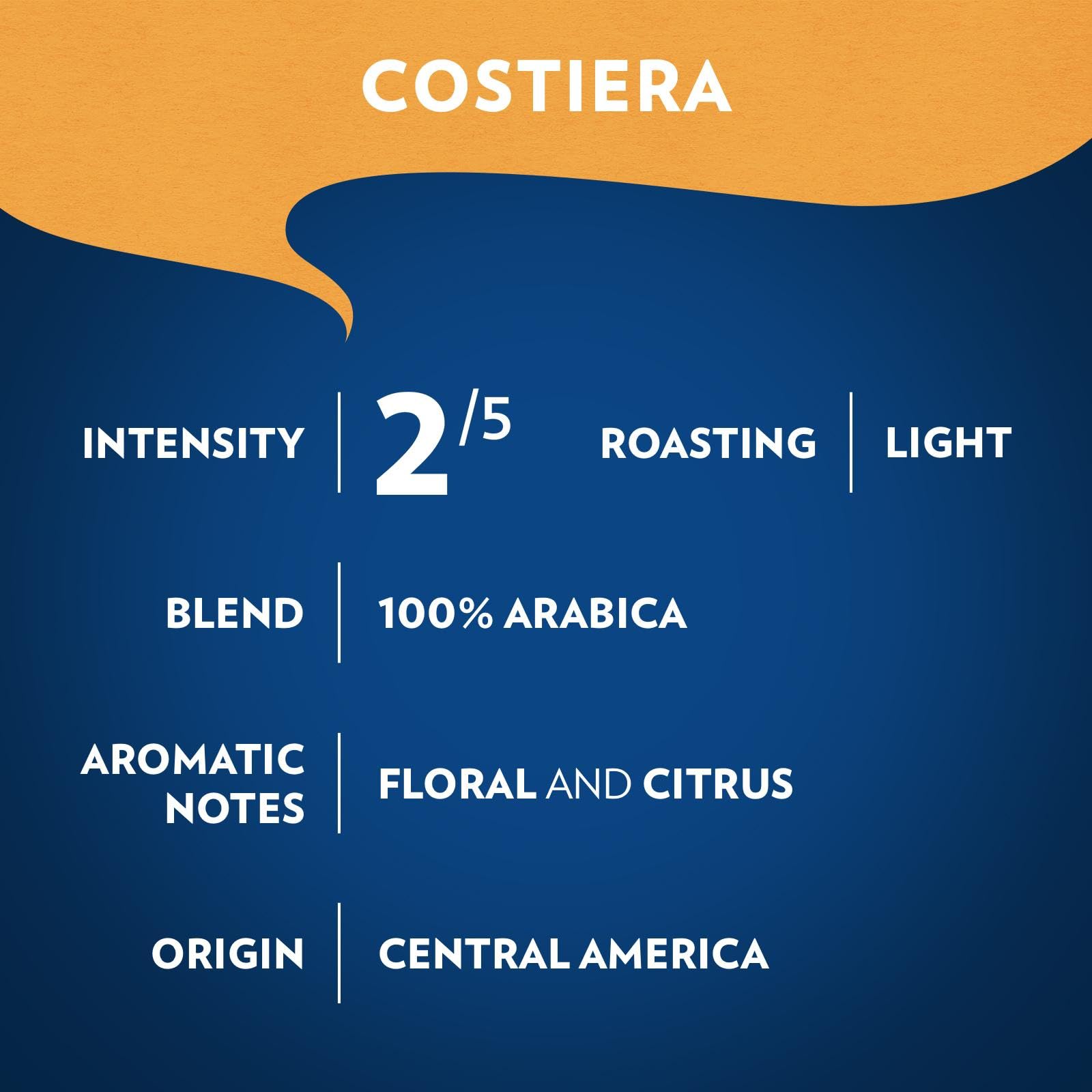 Lavazza Costiera bag next to a ruler showing 12 oz size for portion clarity