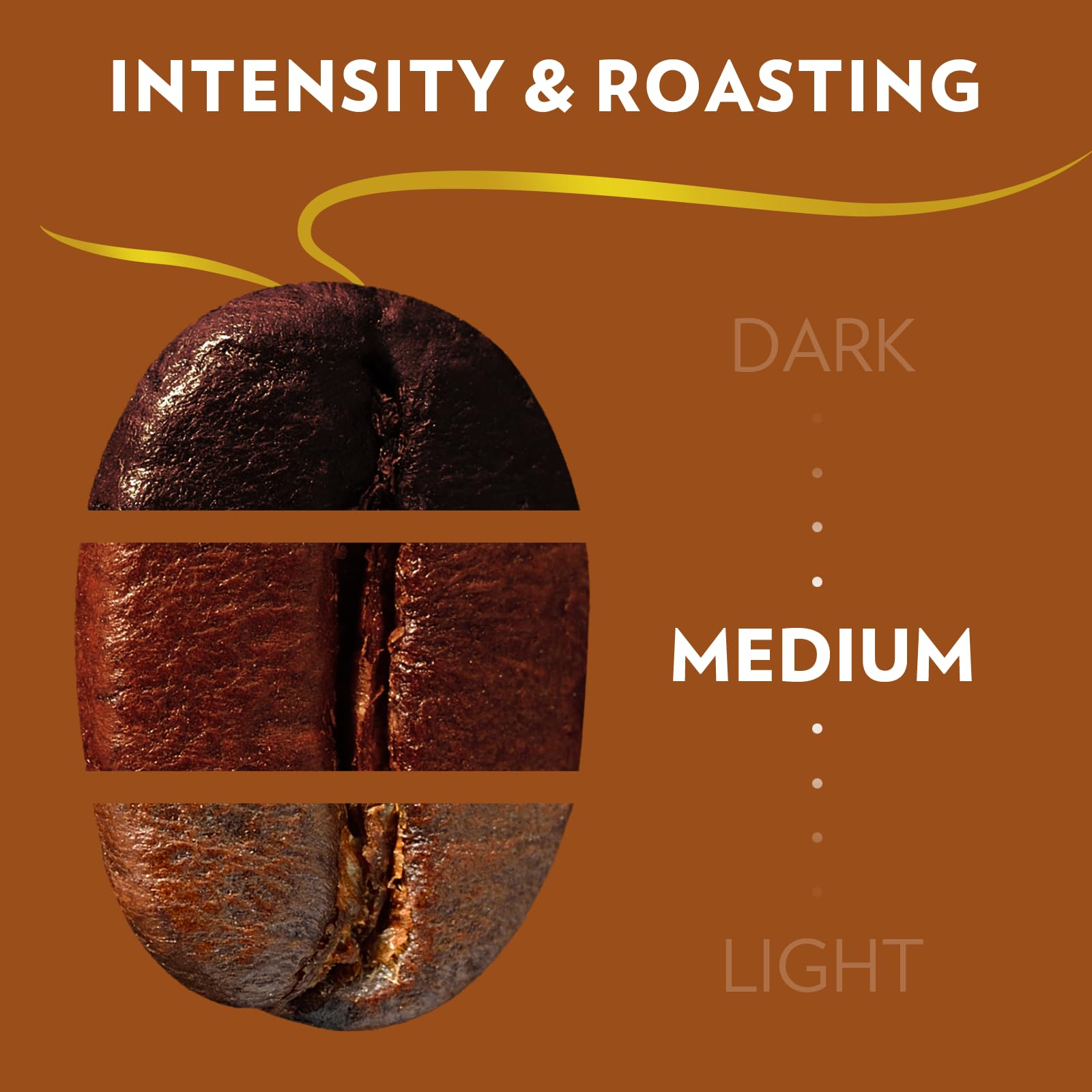Lavazza pour-over brewing scene illustrating versatile use and clean flavor