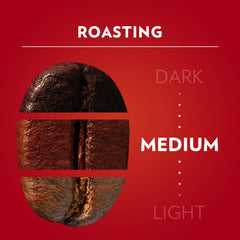 Close-up of Lavazza Qualità Rossa ground coffee texture highlighting even medium grind