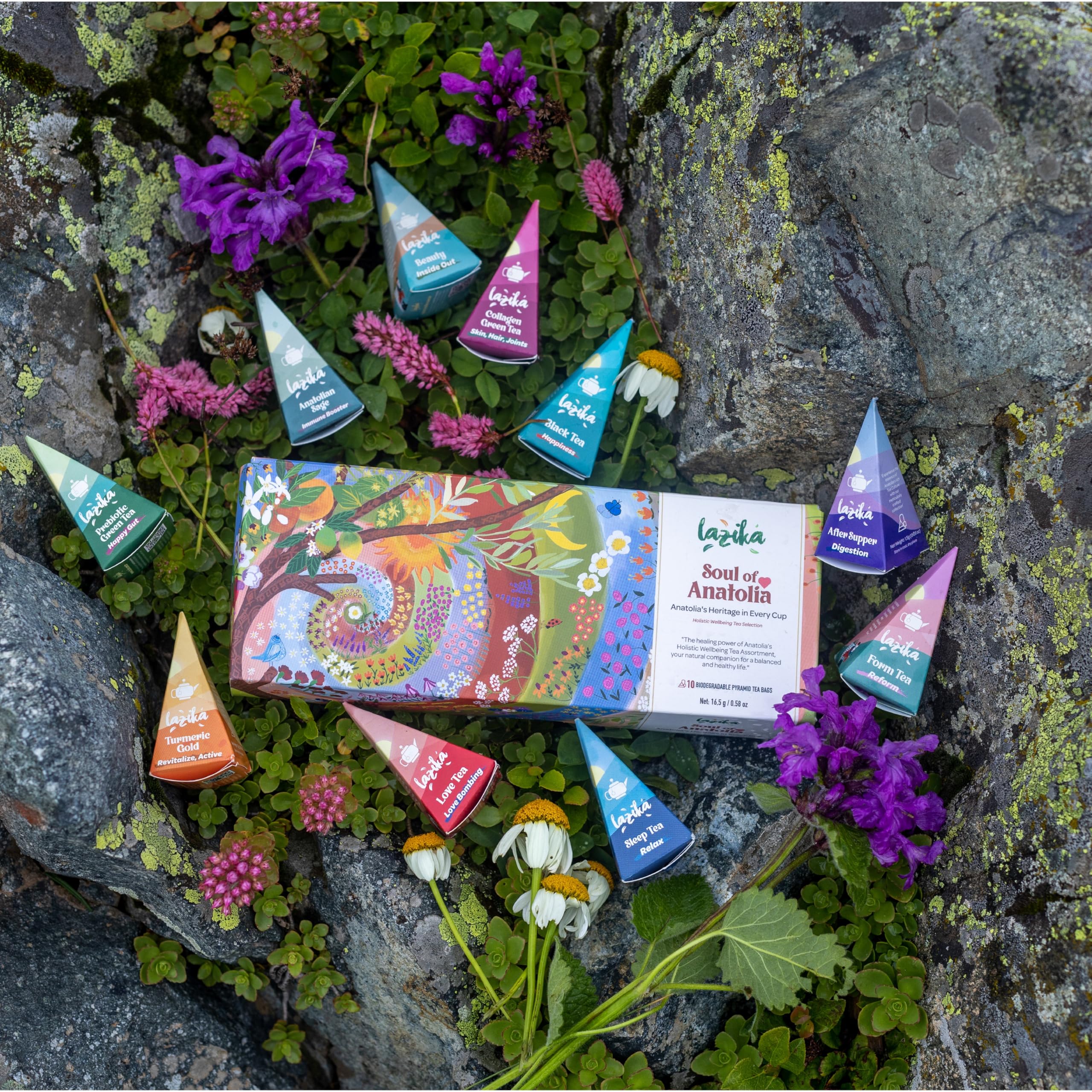 LAZİKA open box display showing organized sachets and premium presentation