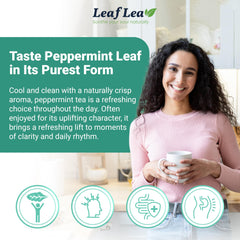 LeafLea brewed cup with bright mint color delivering a refreshing sip