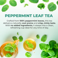 LeafLea close-up of dried peppermint leaf texture showing natural quality