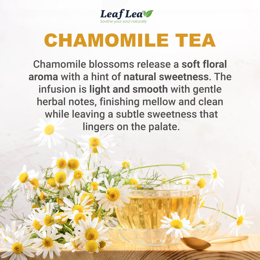 LeafLea wood-pulp filter bag closeup showing clear infusion benefit