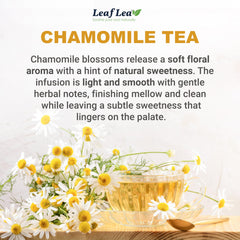LeafLea wood-pulp filter bag closeup showing clear infusion benefit