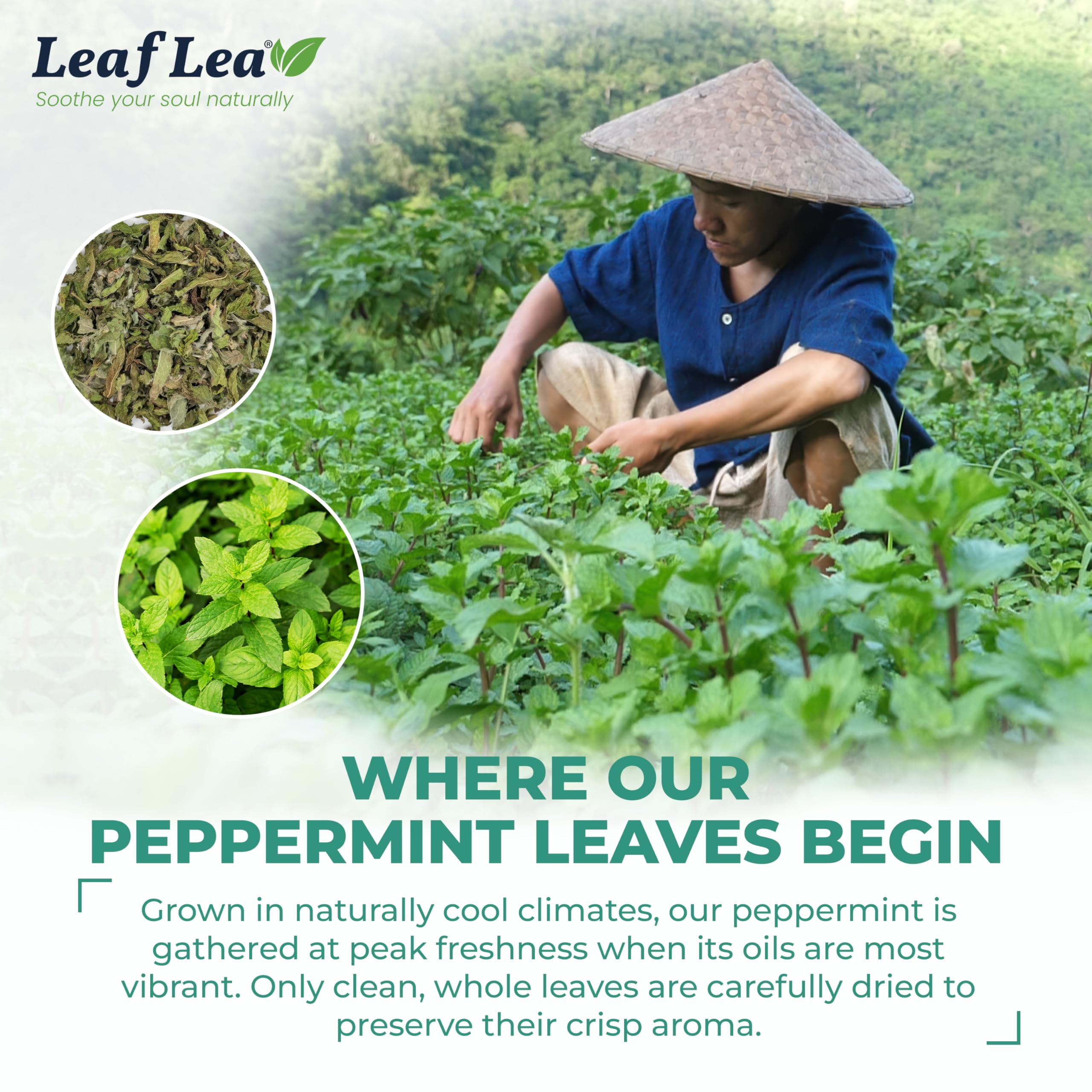 LeafLea product label and ingredients panel proving single-ingredient clarity