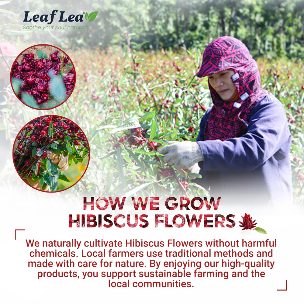 LeafLea product label and origin note showing Vietnam-grown source
