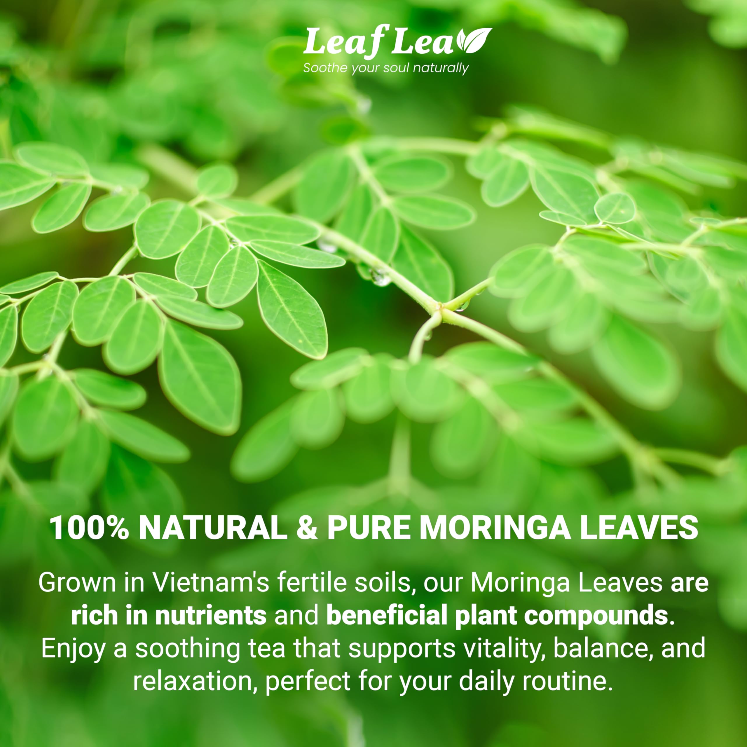 LeafLea foil-wrapped single tea bag close-up preserving freshness